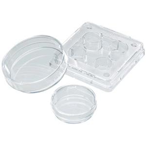 Nunc4孔细胞培养板，聚苯乙烯，带盖，Nunclon△表面 4 