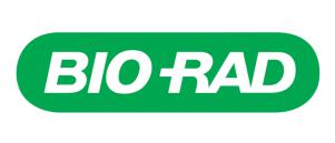 SYNTHETIC HUMAN C-PEPTIDE