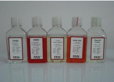 人胚胎干细胞无血清培养基