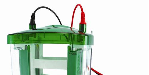 电泳仪上槽 伯乐电泳仪代替品