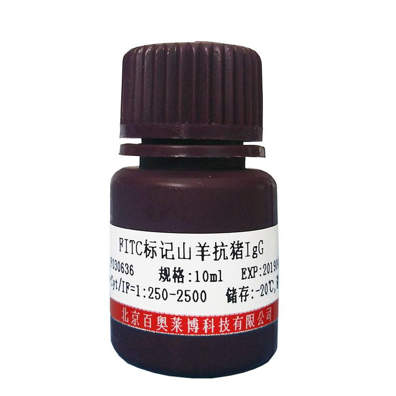 G蛋白偶联受体3抗体厂家