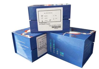 二氢黄酮醇还原酶（DFR）测试盒