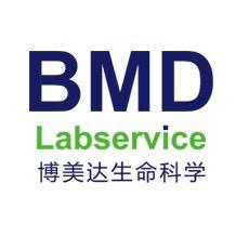 H-CD19 CAR-41BB CD8+T细胞（人源CAR）