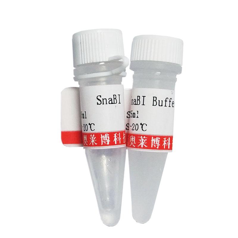 大鼠骨髓内皮祖细胞分离液品牌