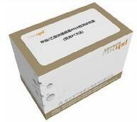 嗜水气单胞菌PCR检测试剂盒