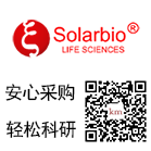 5ml注射器 / 5ml注射器（无菌）