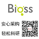 肺表面活性蛋白D / 肺表面活性蛋白D抗体