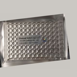 小鼠抑瘤素M(OSM)ELISA试剂盒