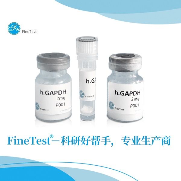 重组蛋白LDLR|Recombinant Human LDLR