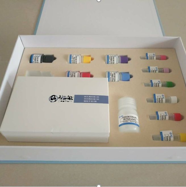 人血管生成素4(ANG-4)ELISA试剂盒96T