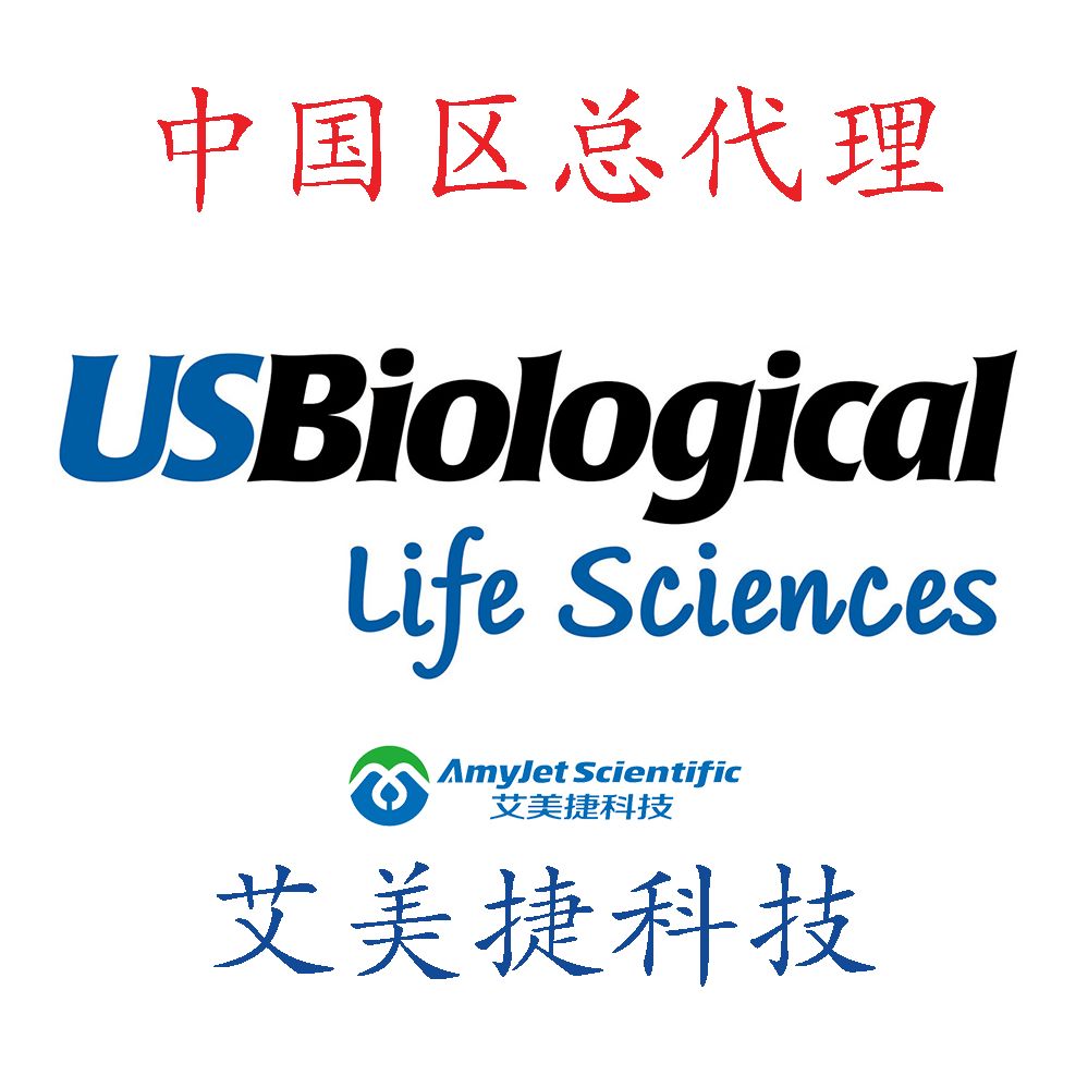 PABPC1, ID (Polyadenylate-binding Protein 1, Poly(A)-binding Protein 1, PABP 1, PABPC2, PABP1, PAB1) (MaxLight 550)/PABPC1, ID (Polyadenylate-binding Protein 1, Poly(A)-binding Protein 1, PABP 1, PABPC2, PABP1, PAB1) (MaxLight 550)/PABPC1, ID (Polyad抗体