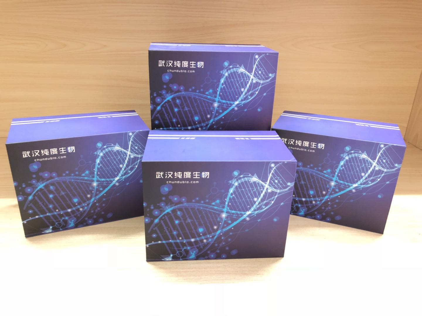 豚鼠可溶性Toll样受体6(sTLR6)ELISA试剂盒