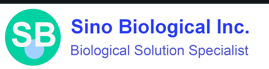 Mouse ESM1 / Endocan Protein (His Tag)