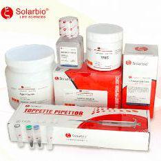 YAC(悬浮)小鼠淋巴瘤细胞(NK靶细胞)