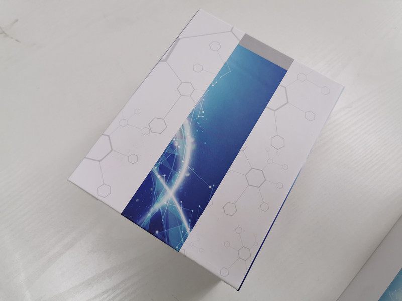 购买-人雌激素受体ELISA检测试剂盒