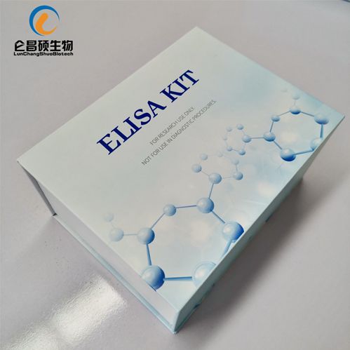 小鼠CD13分子（CD13）elisa试剂盒