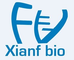 EA.hy926 人脐静脉细胞融合细胞
