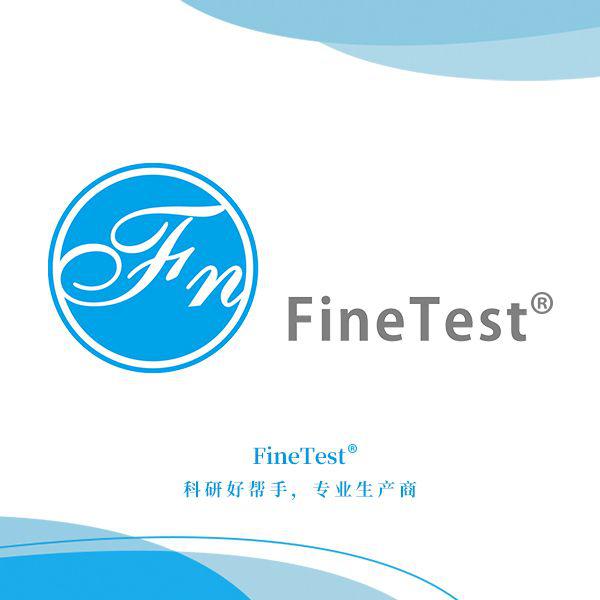 人细胞色素P4503A4(CYP3A4)ELISA试剂盒