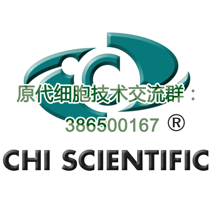 小鼠皮下脂肪细胞
