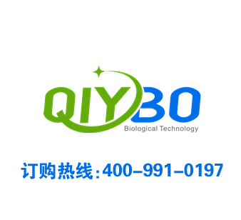 Anti-DAD1 (dopamine D1 receptor)  多巴胺受体-D1抗体