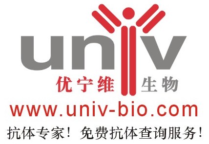 Abd serotec二抗 抗小鼠 GOAT ANTI MOUSE IgG:TRITC