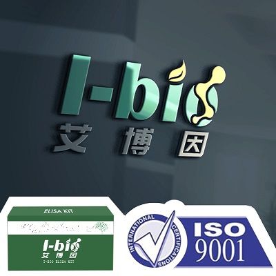 兔少突胶质细胞【原代细胞】