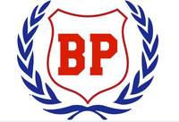 Recombinant Human NLGN4Y protein (His tag)