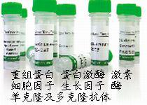 重组人凝血因子3|Recombinant Human Coagulation Factor III