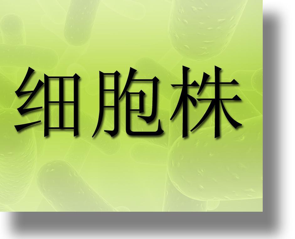 人胚肺成纤维细胞，MRC-5细胞