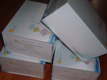 大鼠胰岛素样生长因子1(IGF-1)Elisa试剂盒