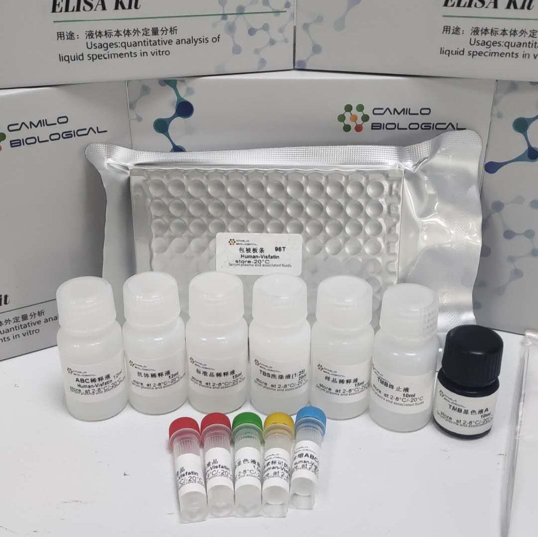 植物木葡聚糖酶(Xyloglucanase,XEG)ELISA 试剂盒（测含量）