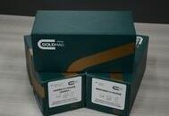 大鼠抗增殖细胞核抗原抗体(PCNA)ELISA试剂盒