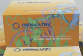 Rat F-actin ELISA Kit