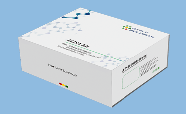 小鼠肾损伤分子1（Kim-1）ELISA检测试剂盒