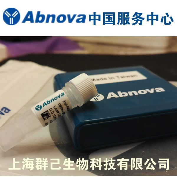 单纯疱疹病毒类型1/2gB 单克隆抗体