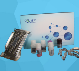 小鼠淋巴细胞功能相关抗原1(LFA-1)elisa试剂盒