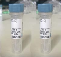 Anti-EDG1/CD363/S1P1内皮细胞分化鞘脂G蛋白偶联受体1抗体