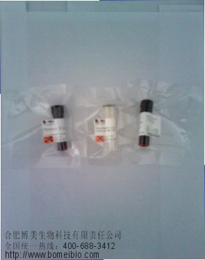 胃蛋白酶抑制剂