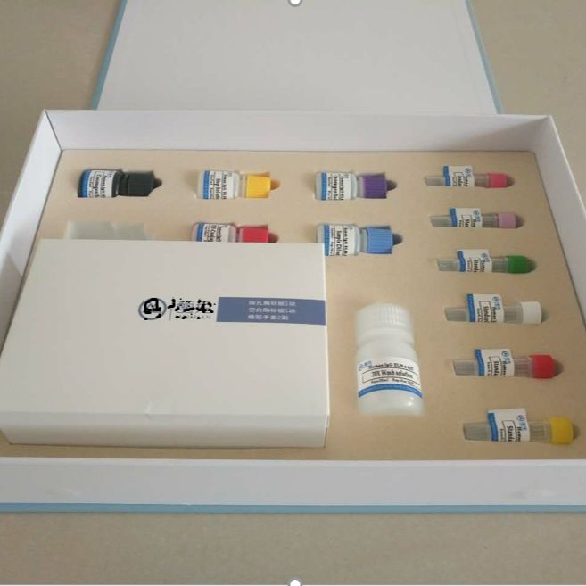 大鼠二酰基甘油酰基转移酶2(DGAT2)ELISA试剂盒96T