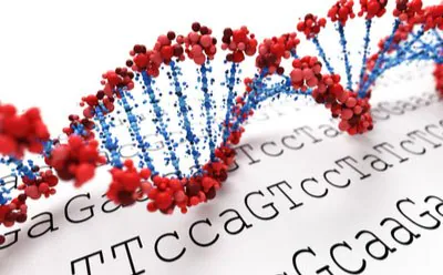 Next-Generation Sequencing Genomic DNA 大规模平行测序