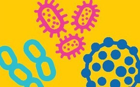 What is a pyrogen? 在黄色背景上用蓝色、青色和洋红色绘制了三种热原。
