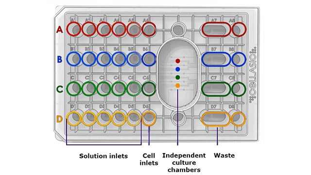 CellASIC® ONIX2 microfluidics – how it works CellASIC® ONIX2 microfluidics – how it works in live cell imaging
