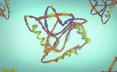 生物制药配方 多色细胞 生物制药配方 多色细胞