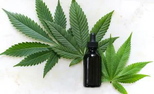 Cannabis leaves and a bottle.