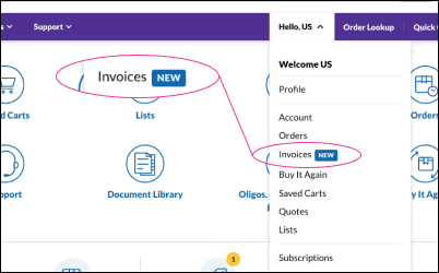 Account Menu Dropdown 订单查询链接