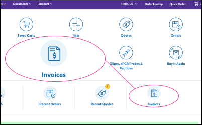 Invoice Center Access Points RCHP 查看订单查询表