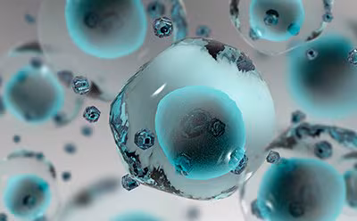 Cell Line Characterization 细胞系特征鉴定