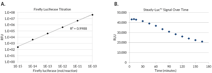 Titration of recombinant firefly luciferase in the firefly luciferase assay. A) Recombinant luciferase was serially diluted in 1X Firefly Lysis Buffer with 1 Mg/mL BSA and measured in the assay. B) The Firefly Luciferase HTS Assay is a steady-glow high sensitivity firefly luciferase reporter gene assay kit for the quantification of firefly luciferase expression in mammalian cells with signal half-life of about 3 hours. Titration of recombinant firefly luciferase in the firefly luciferase assay. A) Recombinant luciferase was serially diluted in 1X Firefly Lysis Buffer with 1 Mg/mL BSA and measured in the assay. B) The Firefly Luciferase HTS Assay is a steady-glow high sensitivity firefly luciferase reporter gene assay kit for the quantification of firefly luciferase expression in mammalian cells with signal half-life of about 3 hours.