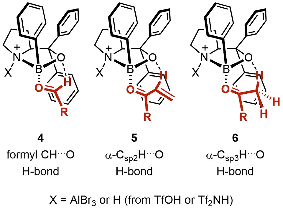 Pretransition-state assembly models for reactive complexes of COBI and carbonyl compounds Pretransition-state assembly models of the COBI catalysts with carbonyl compounds
