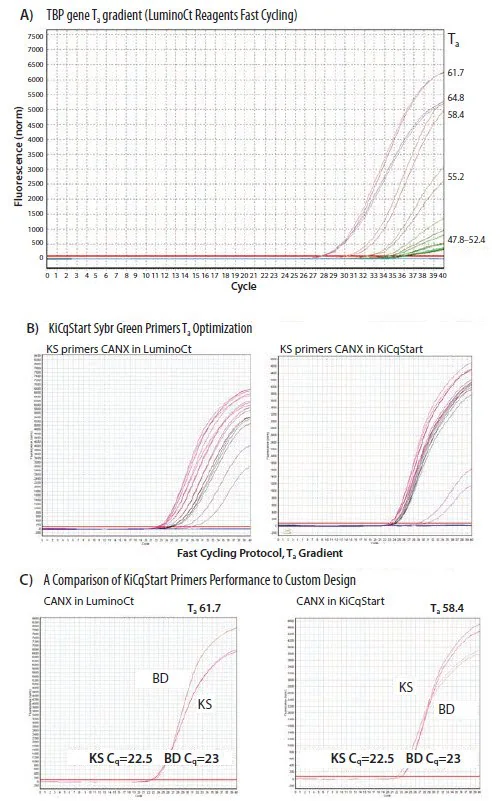 primer-optimization 使用Ta进行引物优化。
